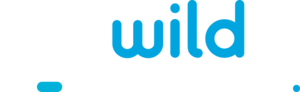 Wild Tornado Casino