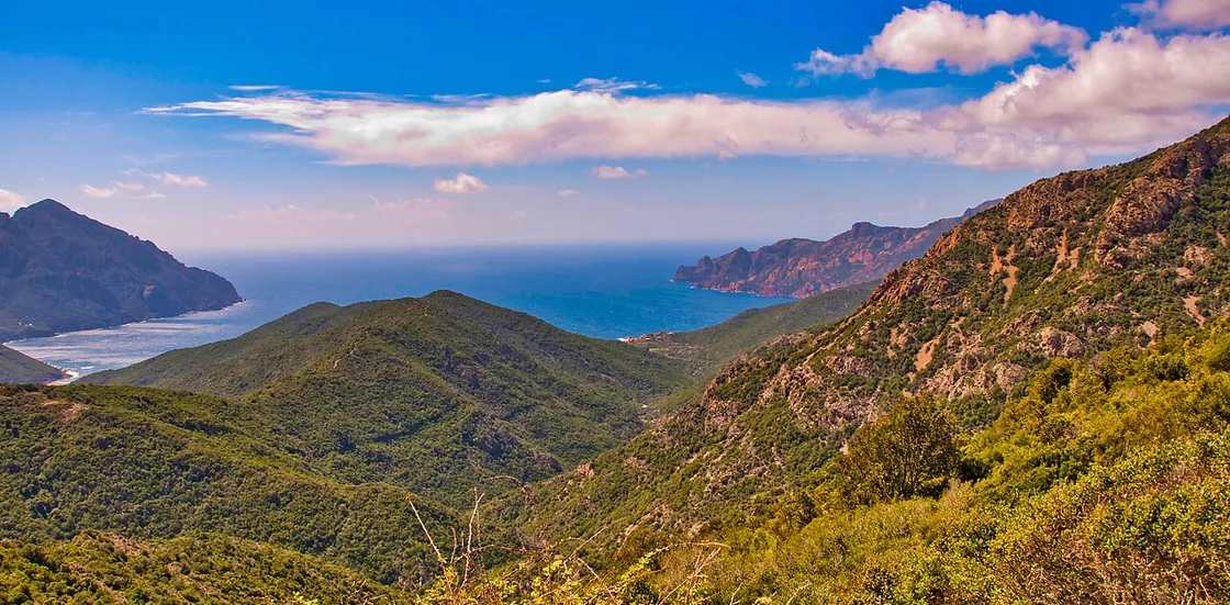 corse php