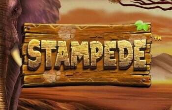 Stampede